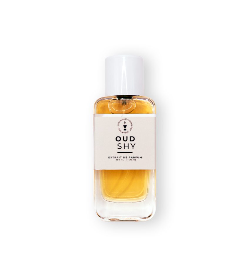 Retouche-Shy-Oud-couché